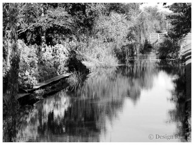 DSC07501.B.jpg